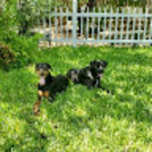 Meet your Posher, Jag